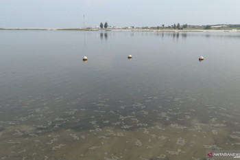 Pemprov DKI uji sampel air laut di Teluk Jakarta