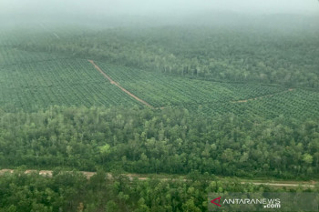 Kaka Slank lintasi hutan Papua dari udara