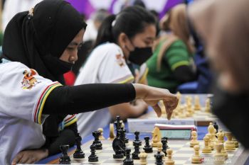 PON  Papua - Lima emas diperebutkan di hari terakhir pertandingan catur
