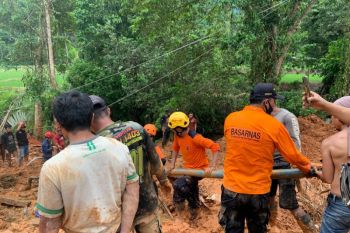 Empat orang meninggal akibat banjir dan longsor di Luwu