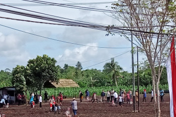 Jokowi tanam jagung bersama petani di Kabupaten Sorong