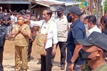 Presiden Jokowi minta Papua Barat tingkatkan produktivitas pertanian
