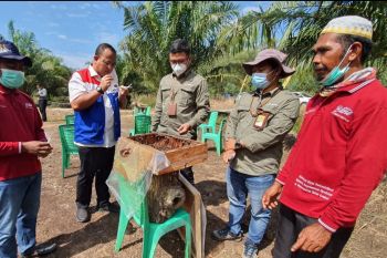 Budidaya lebah madu ramah lingkungan, Rahmadi raup ratusan juta rupiah