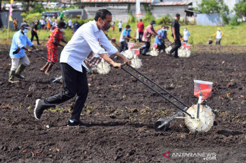Jokowi berharap Sorong jadi daerah produsen utama pertanian