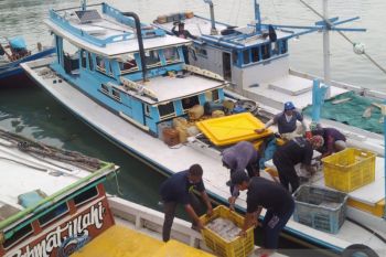 Produksi ikan di PPN Sungailiat mencapai senilai Rp13.3 miliar