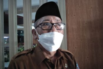 Distan: Untuk Maulid stok daging ayam bloiler di Kota Mataram cukup