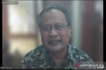 Ganggu reproduksi kerang, pencemaran parasetamol