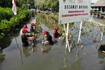 AHM tanam 1.200 pohon di wilayah Jabar