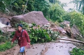Apdesi Majene : Pembangunan rumah untuk korban gempa tidak boleh merusak hutan