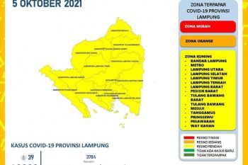Dinkes: Positif COVID-19 di Lampung bertambah 39 kasus, meninggal dua orang