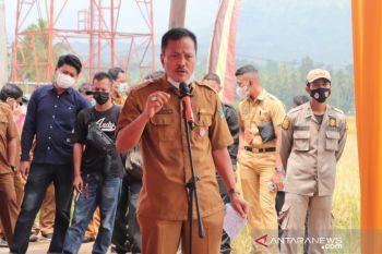 Luas lahan kakao di Sumbar terus susut