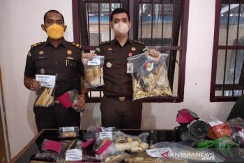 Kejari Aceh Timur terima pelimpahan kasus pembunuhan gajah