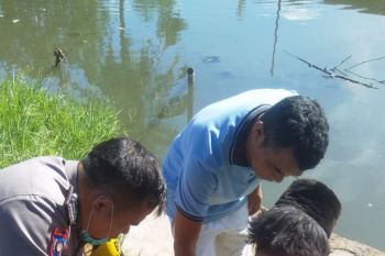 Seorang ODGJ ngamuk dekat sekolah, baca kronologis seorang polisi bersama warga meredamnya