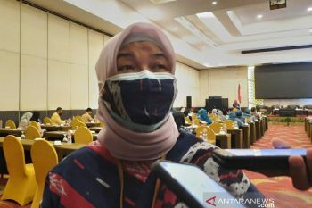 Dinkes sebut Kelurahan di Kendari mayoritas zona hijau dan empat kuning