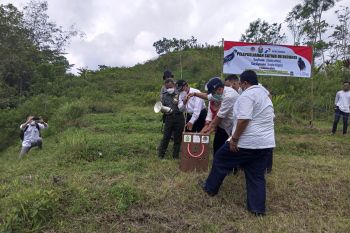 BKSDA Yogyakarta melepasliarkan elang jambul di Gunungkelir