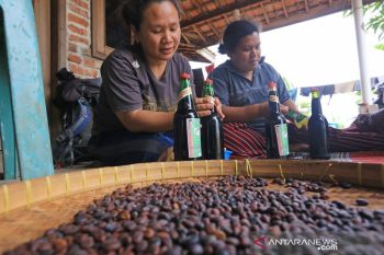 Produksi kecap mangrove