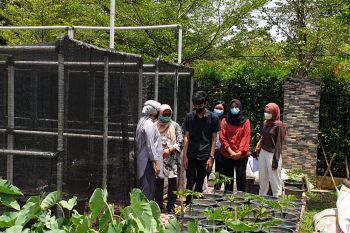 Kota Palembang kembangkan warung tani atasi kemiskinan