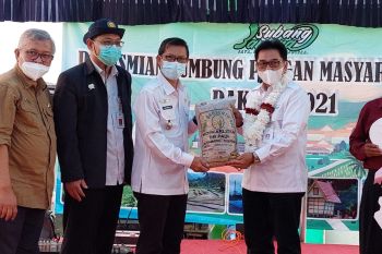 Kementan mendorong kelompok tani tanam padi tinggi Zinc
