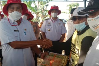 Dinas Pertanian Sulsel salurkan 177.075 kg benih kepada petani Wajo
