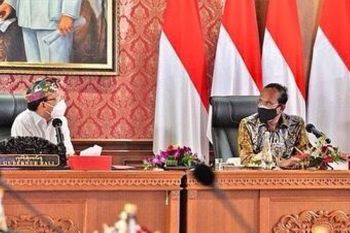 Anggota DEN mendorong Bali perbanyak energi bersih