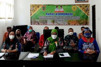 Pemprov Kalteng dorong penguatan CPPD kabupaten dan kota