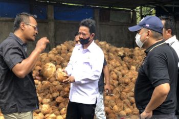 Calon investor berkeliling ke Inhil, apa yang dicari?
