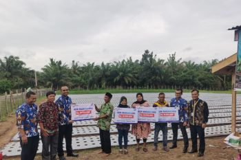 Bank Nagari Tapan salurkan kredit Marandang ke anggota Kelompok Tani Pematang Lesung (Video)