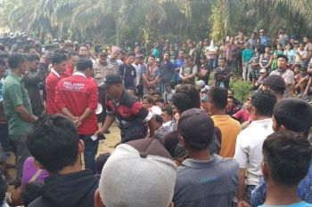 Pansus DPRD Riau terima 33 laporan konflik lahan