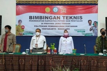 Wujudkan target ekspor, Kementan-DPR latih petani di tiga kabupaten