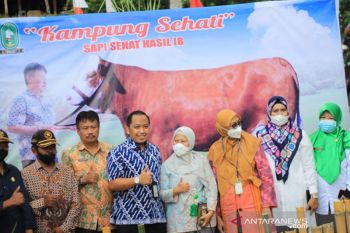Tim verifikasi Kabupaten/Kota Sehat kunjungi Sinjai