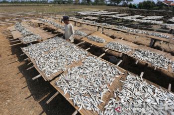 Permintaan ikan asin meningkat