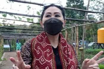Dekranasda NTT gelar pelatihan pembuatan 1.000  topi Ti'i Langga