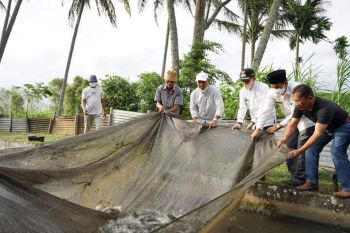 Tingkatkan hasil produksi, Tanah Datar perkenalkan teknologi baru  budidaya ikan
