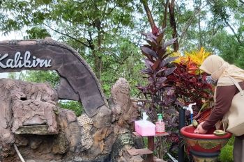 Pelaku wisata Kabupaten Kulon Progo alami kendala teknis ajukan sertifikat CHSE