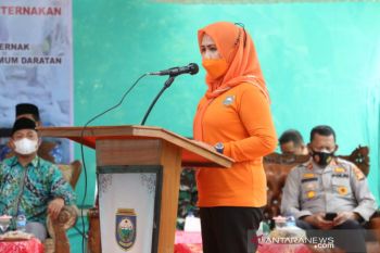 Pemprov Sumsel bangun irigasi peternakan di Kabupaten OKU