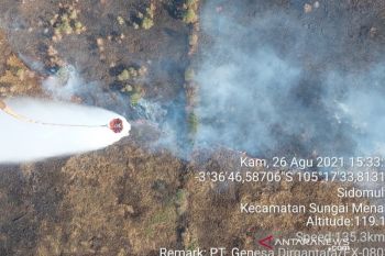 KLHK catat dua ribu hektare lahan di Sumsel  terbakar selama 2021