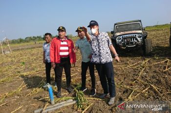 Pemkab Sampang percepat pemulihan ekonomi melalui pembangunan JLS