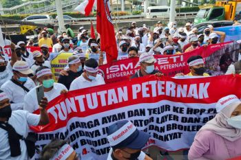 Harga telur anjlok peternak dan mahasiswa  gelar  aksi damai