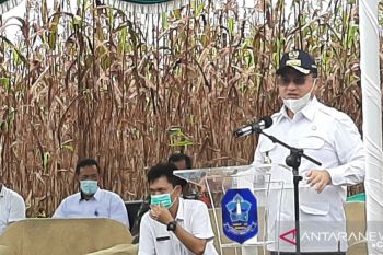 Gubernur Babel akan tindak tegas pangkalan gas jual diatas HET