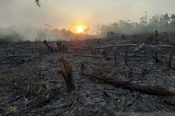 BPBD OKU tetapkan status siaga Karhutla