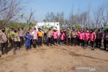 Polres Pekalongan Kota tanam 70 ribu mangrove di pantai