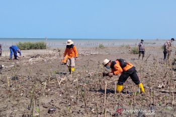 Dua desa di Kabupaten Jepara  tergerus abrasi