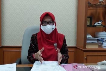 Pemkab Kulon Progo agar serius menangkap peluang ekonomi Bandara YIA