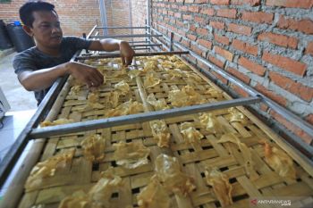 Kemenperin dorong konsumsi ikan untuk cegah stunting