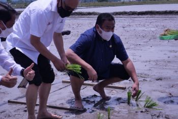 Rachmat Gobel usulkan kredit macet di bawah Rp10 juta diputihkan