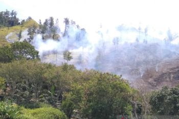 Hutan lindung seluas 19,5 hektare terbakar