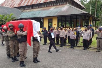 Dua anggota Brimob Kalsel tewas kecelakaan saat tugas patroli di Mimika
