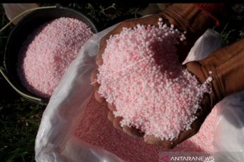 Musim tanam, PT Pupuk Indonesia jamin ketersediaan pupuk di Sulsel