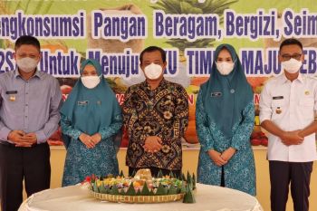 Indeks ketahanan pangan Kabupaten OKU Timur tertinggi di Sumsel