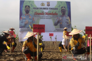 Polda Sulawesi Tenggara tanam 2.000 bibit mangrove di kawasan pantai Kendari